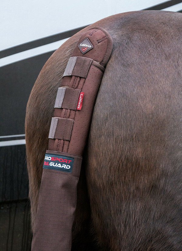 LeMieux Tail Guard with bag Schweifschoner brown/braun Einheitsgröße